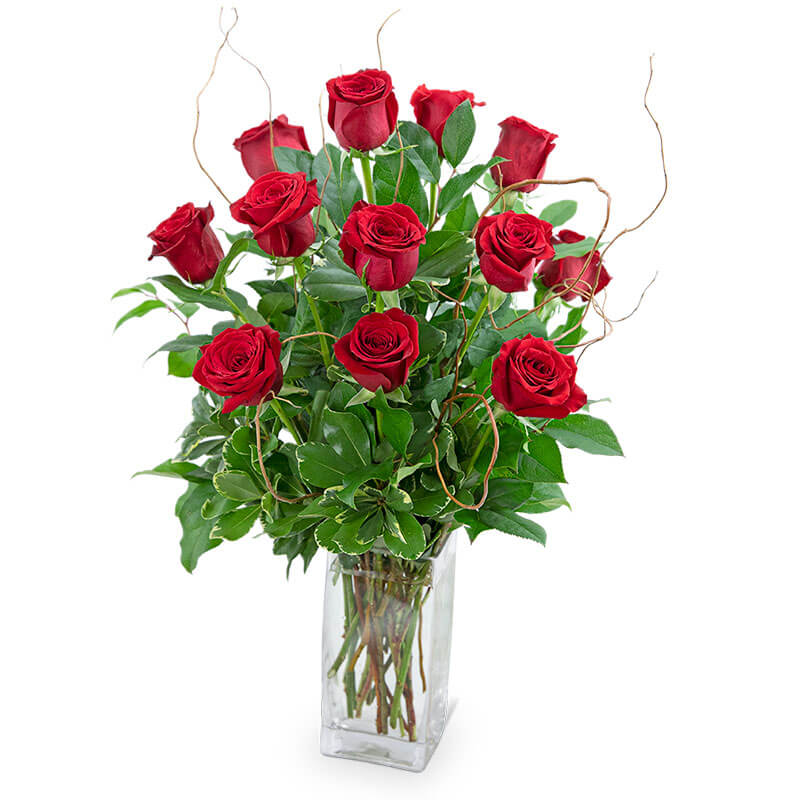 Dozen Red Roses with Willow :: Quality Flowers, Fort Smith AR