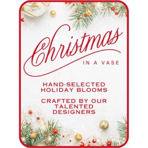 Designer's Choice Christmas in a Vase
