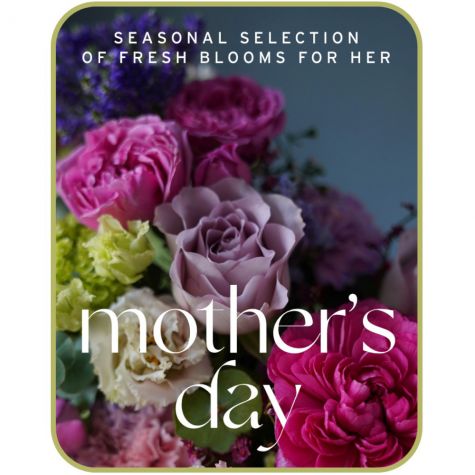 Mother's Day Designer's Choice